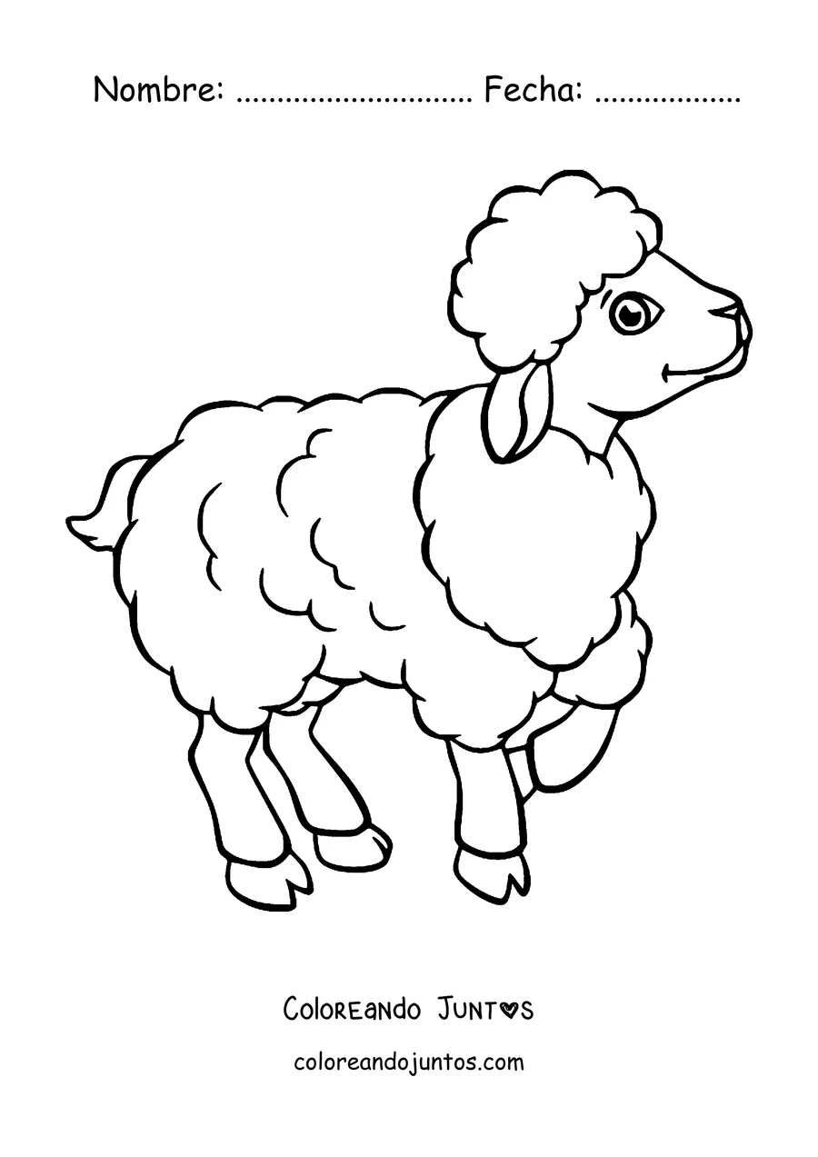 Imagen para colorear de oveja caminando contenta