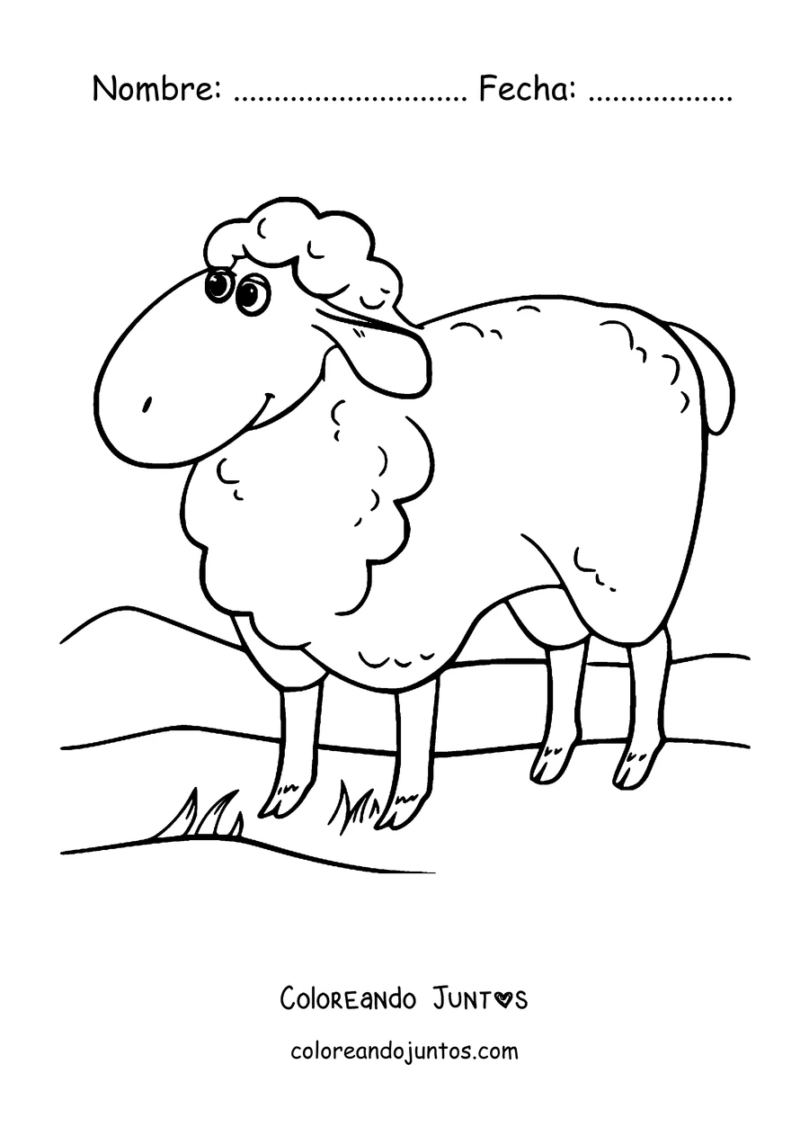 Imagen para colorear de oveja parada en la colina