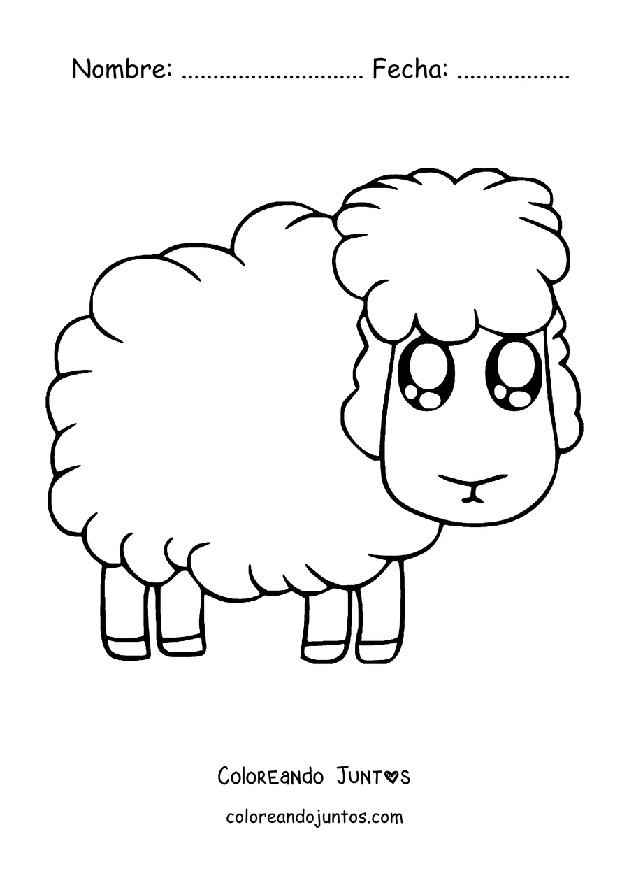 Imagen para colorear de oveja esponjosa de ojos brillantes