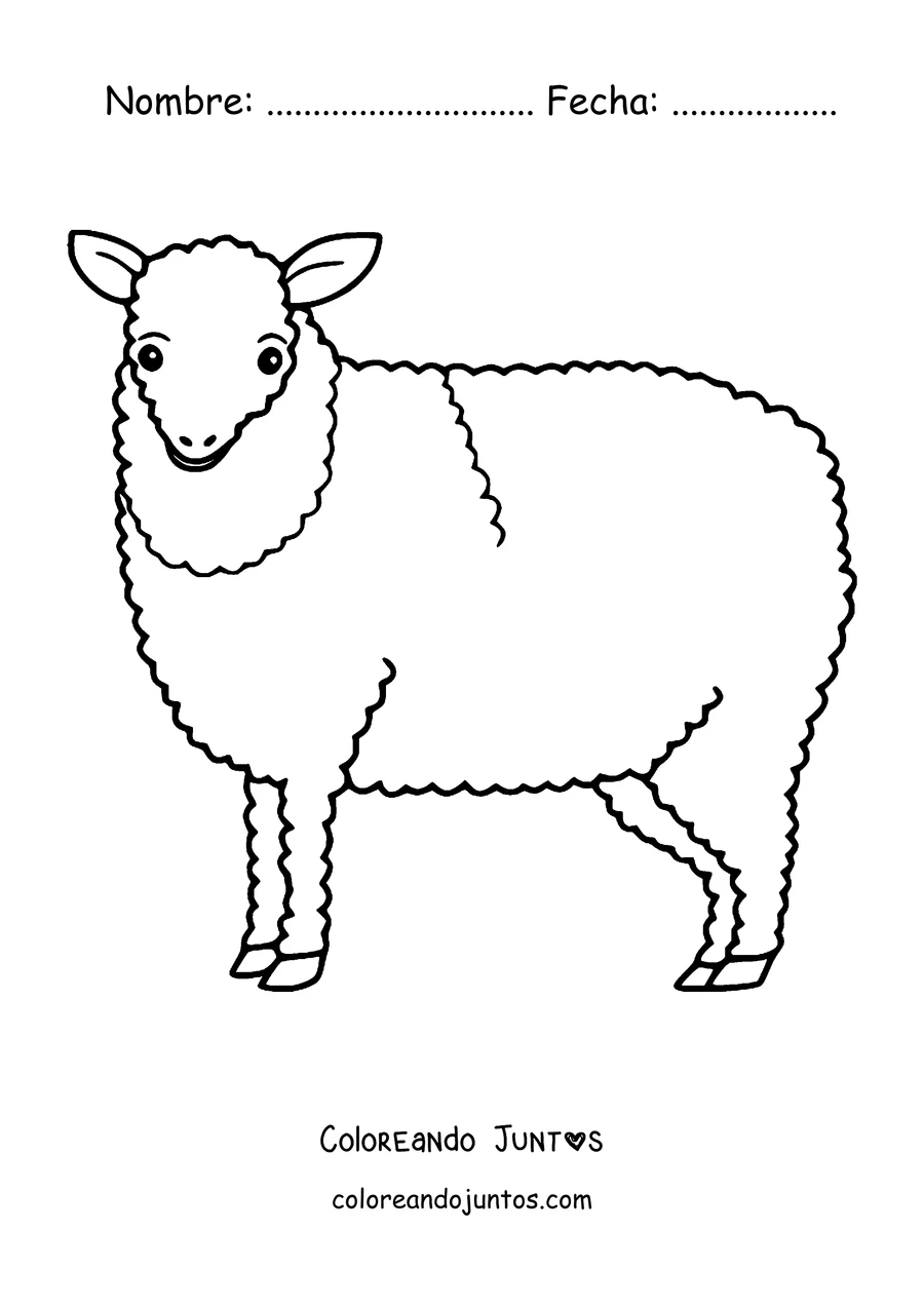 Imagen para colorear de oveja lanuda de perfil