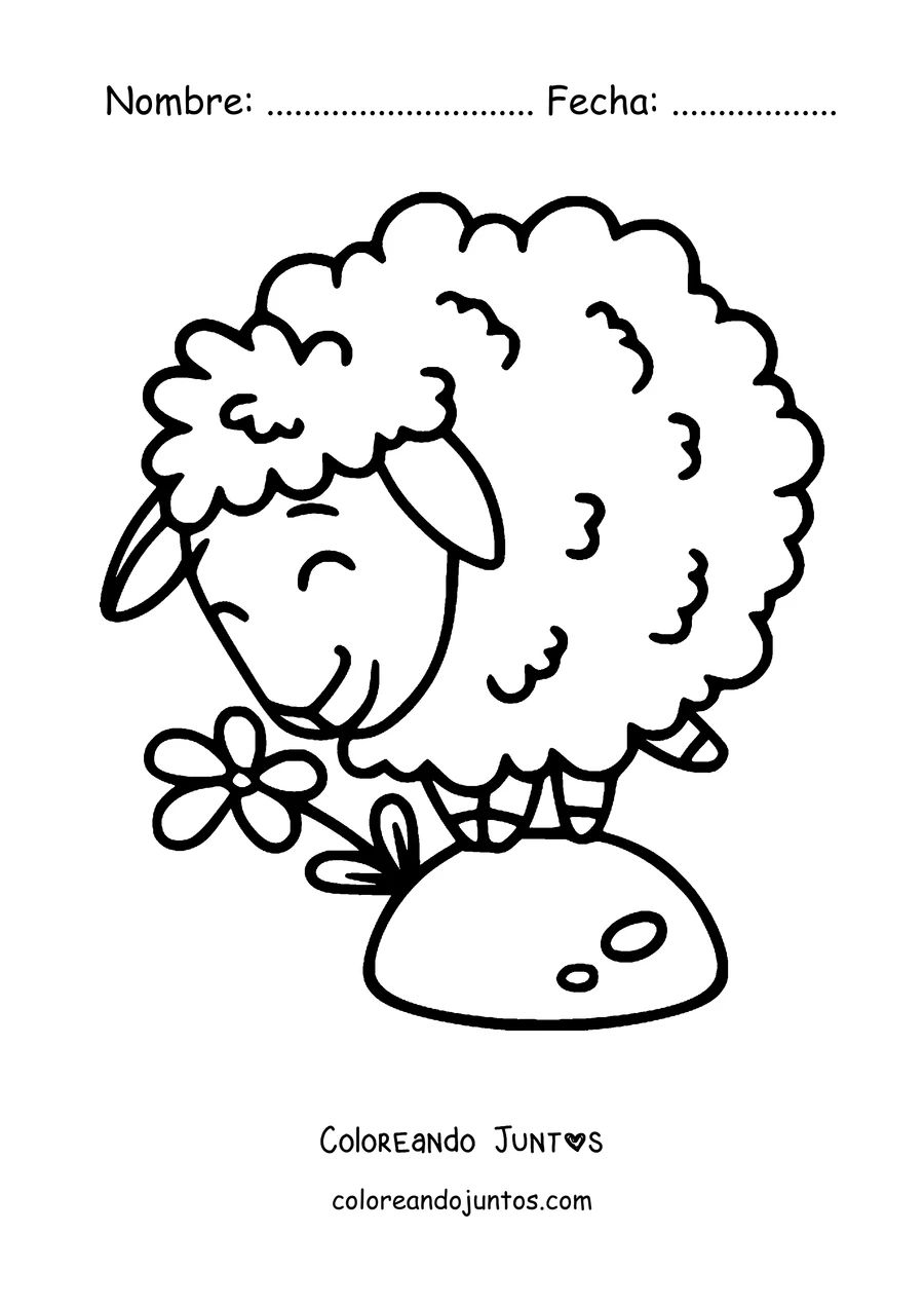 Imagen para colorear de oveja oliendo una flor