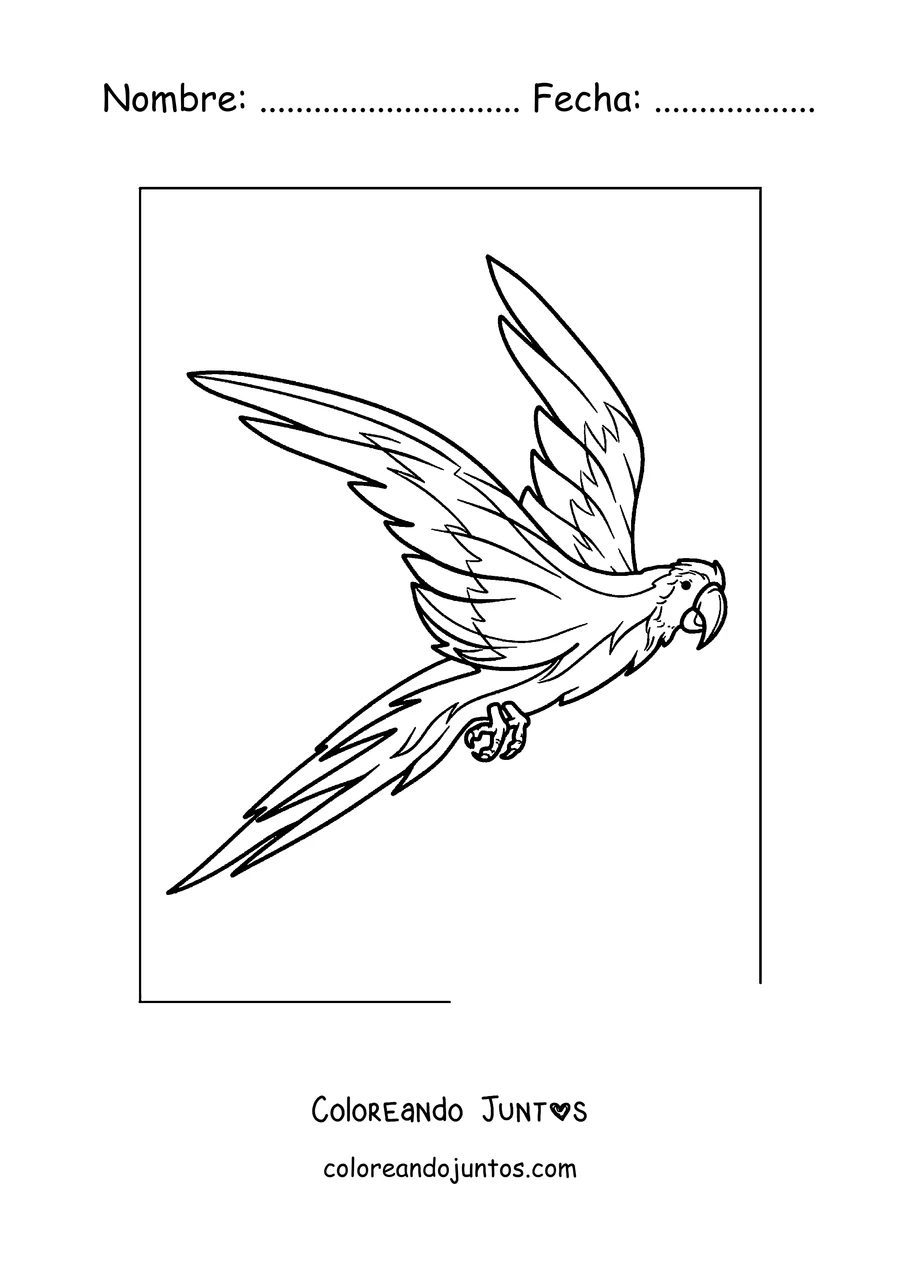 Imagen para colorear de un papagayo volando con las alas bien abiertas