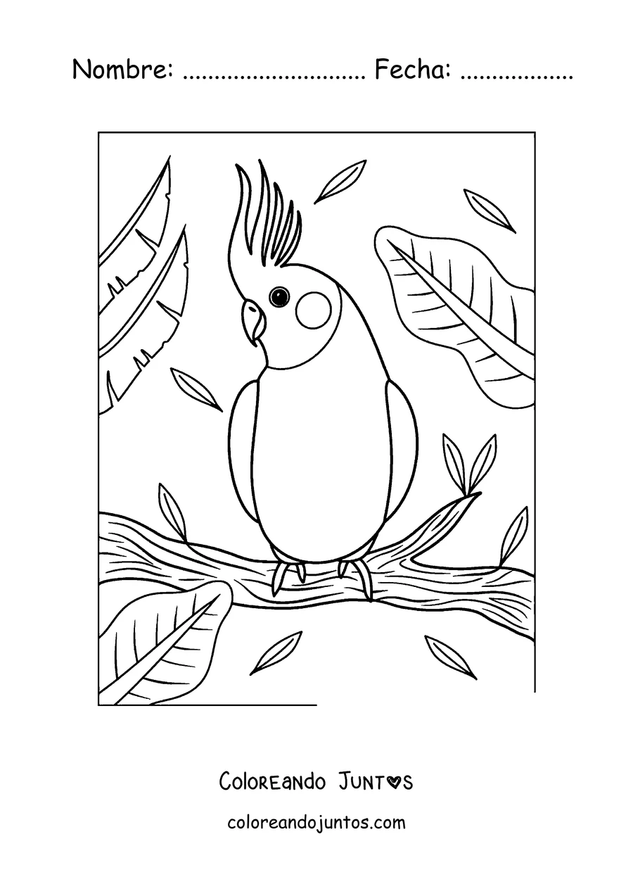 Imagen para colorear de un papagayo con copete posado en una rama