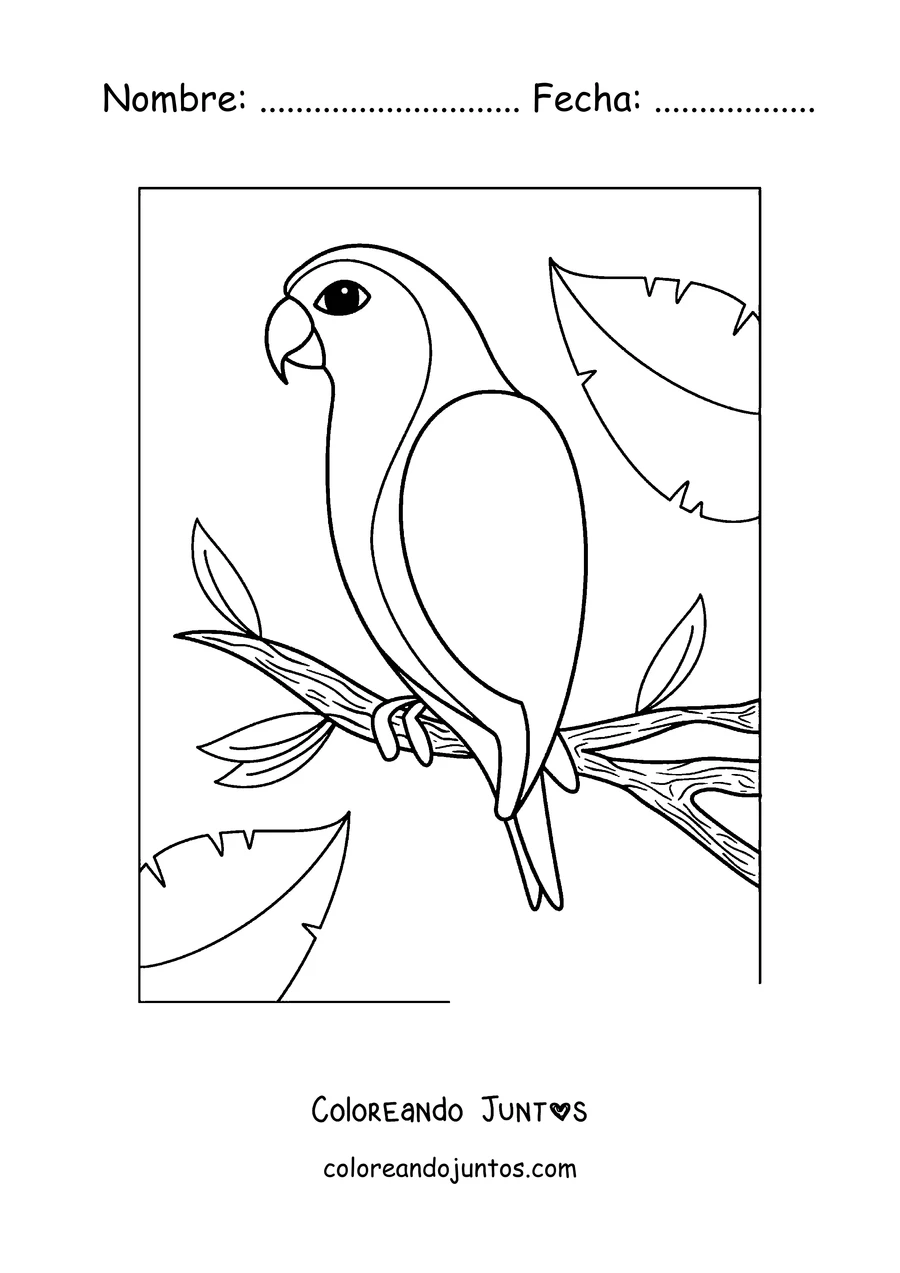 Imagen para colorear de un papagayo de contorno simple posado
