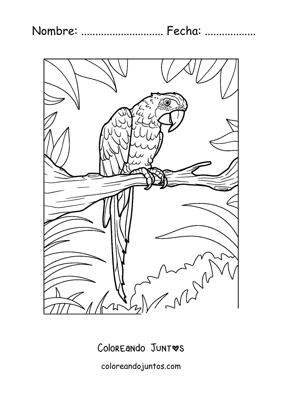 Imagen para colorear de un papagayo detallado posado en una rama con hojas