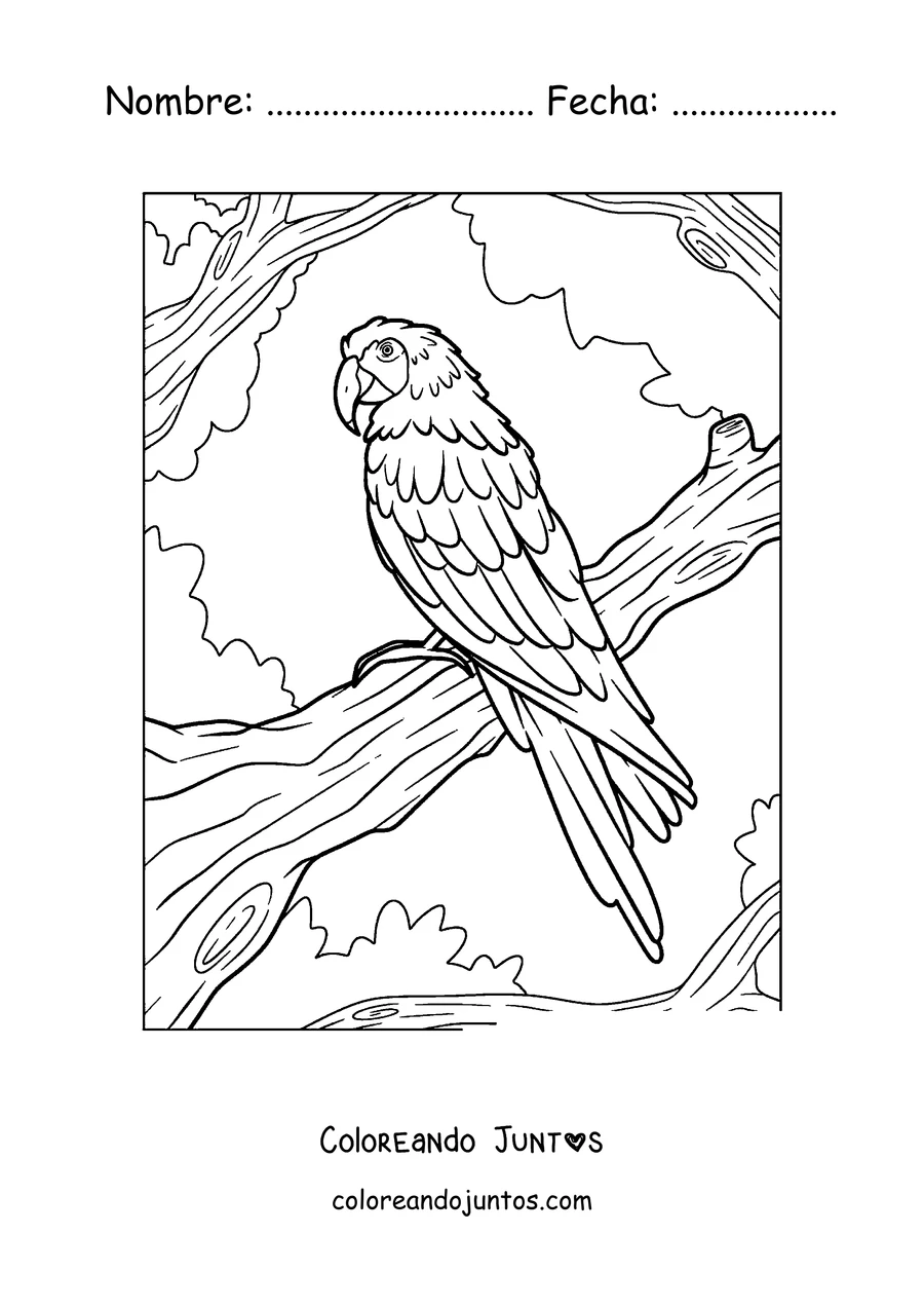 Imagen para colorear de un guacamayo posado en una rama