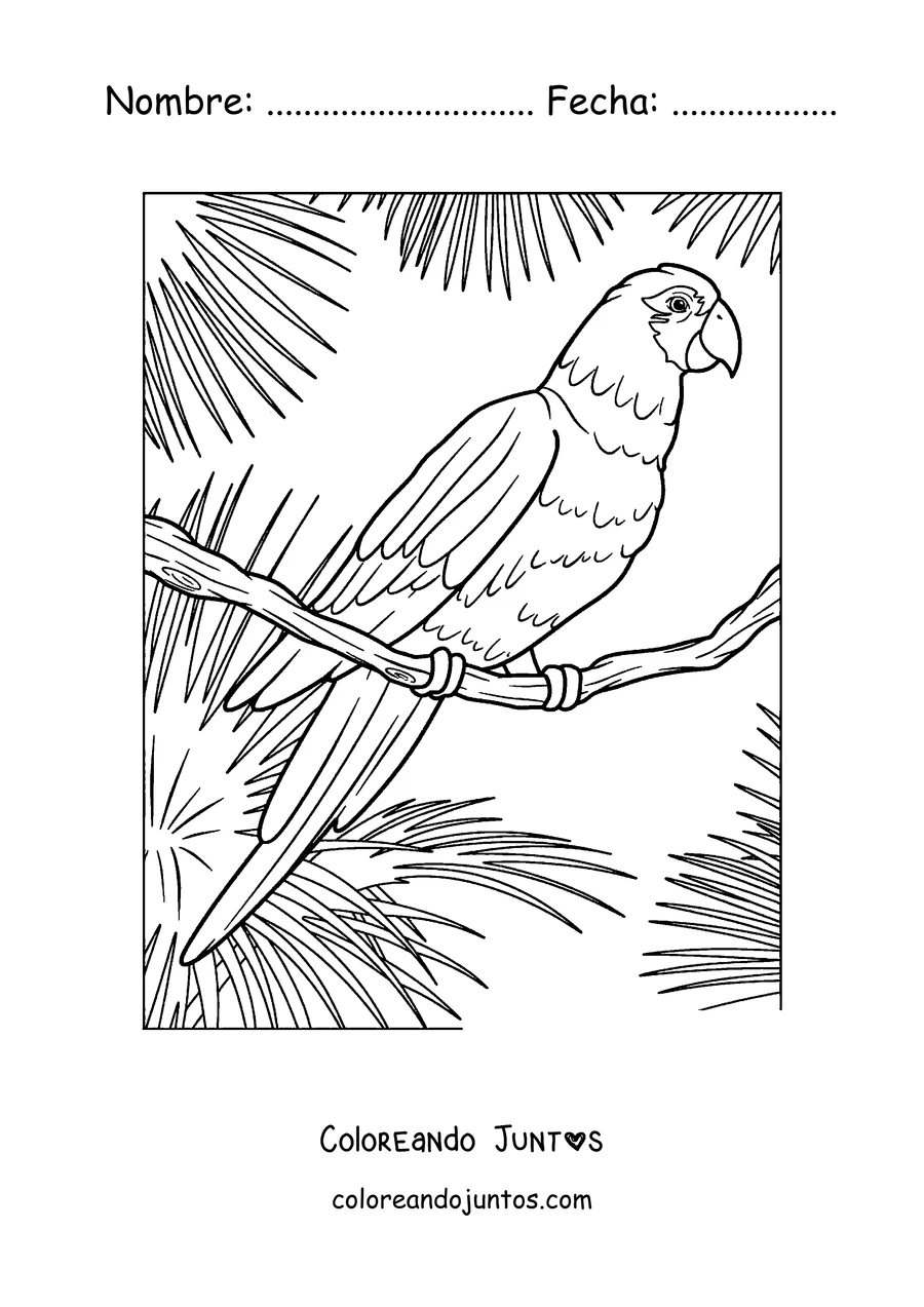 Imagen para colorear de un papagayo posado entre hojas tropicales