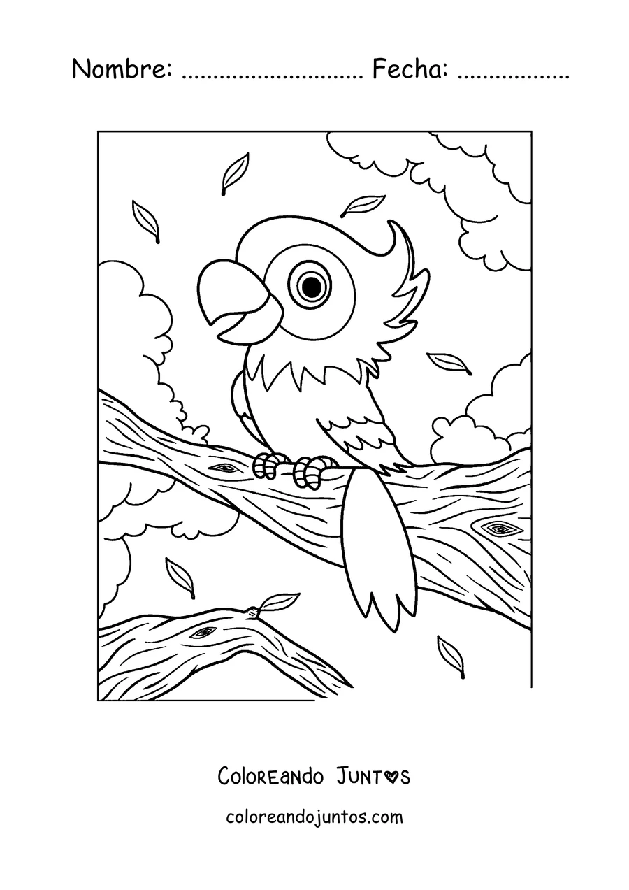 Imagen para colorear de un papagayo tierno para los más chiquitos
