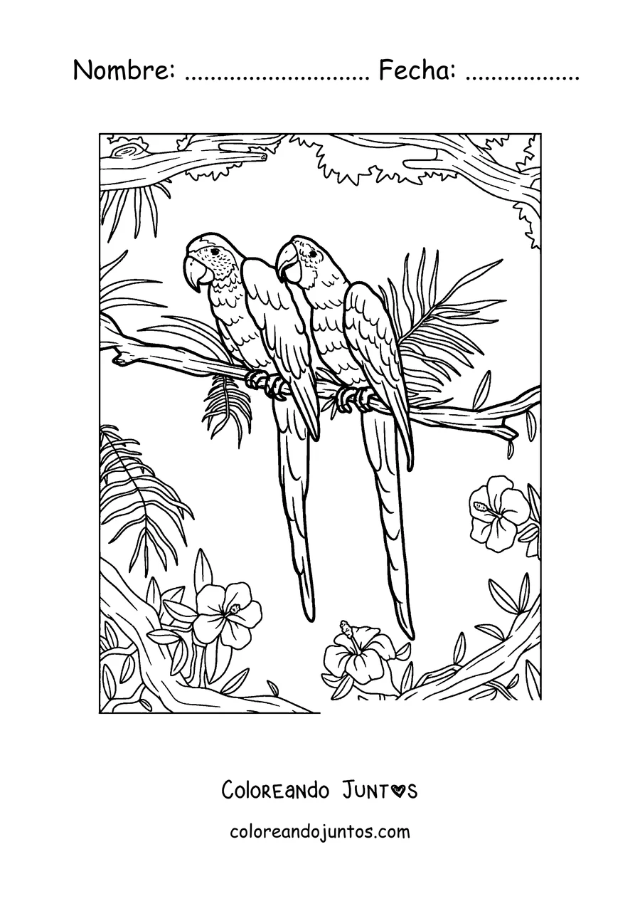 Imagen para colorear de dos papagayos posados juntos en una rama