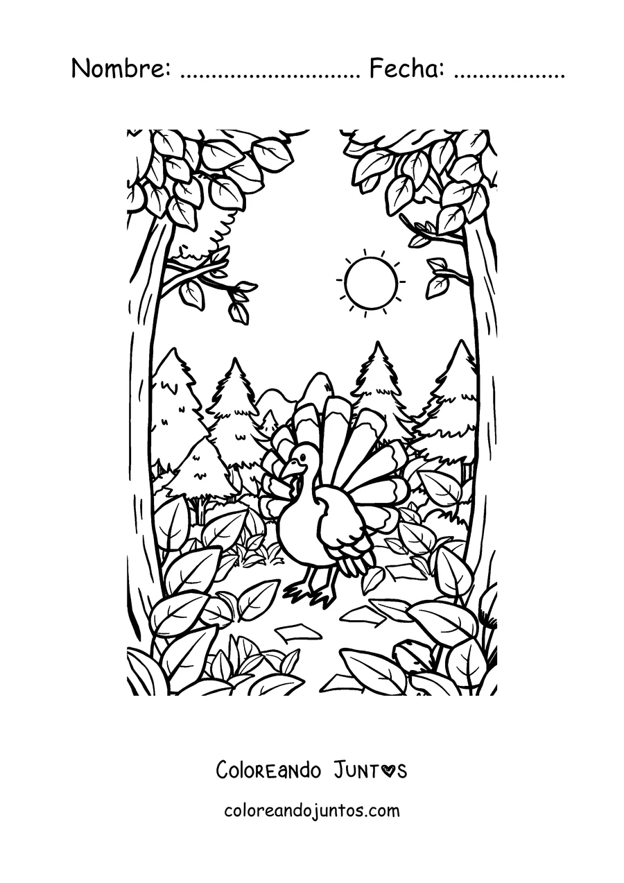 Imagen para colorear de un pavo en el bosque en otoño