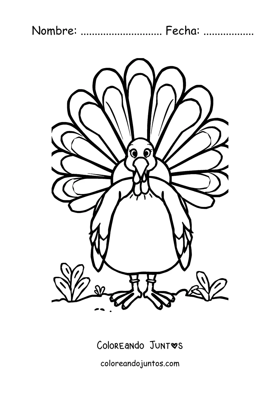 Imagen para colorear de un pavo con la cola de plumas bien abierta