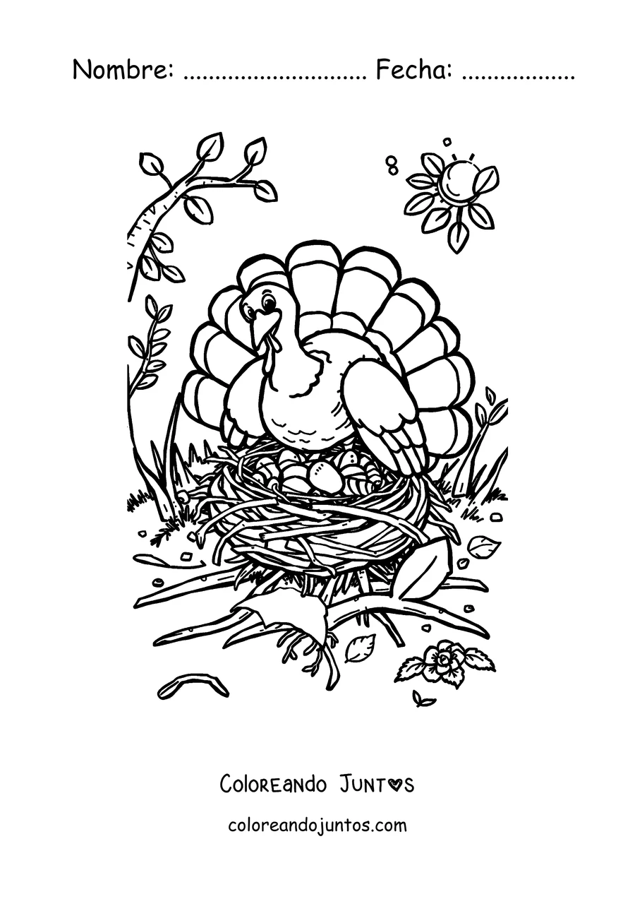 Imagen para colorear de un pavo descansando sobre la hierba