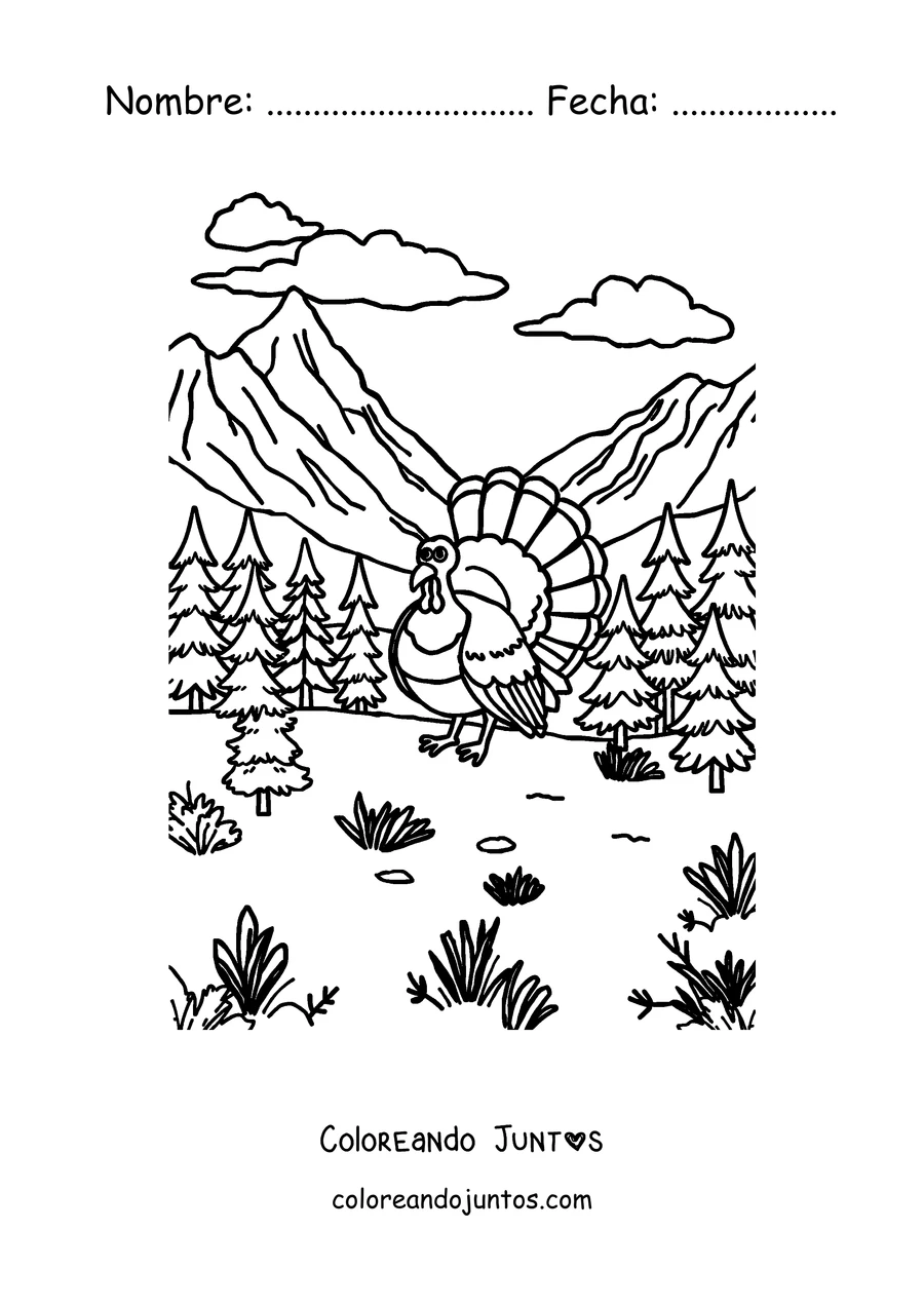Imagen para colorear de un pavo en un paisaje de montaña