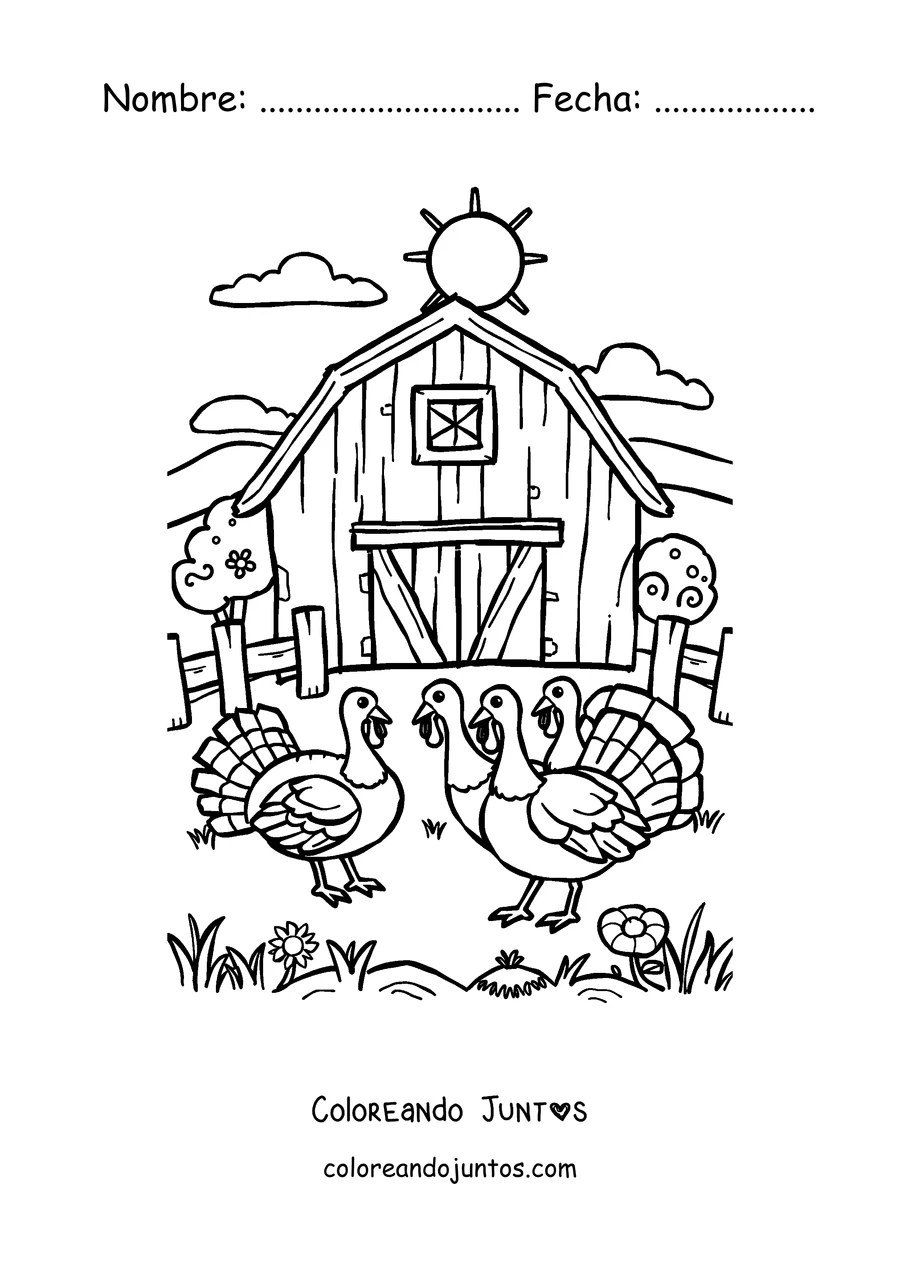 Imagen para colorear de dos pavos frente al granero