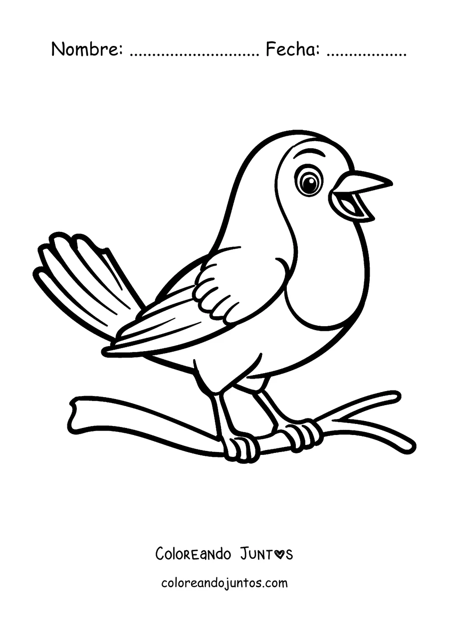 Imagen para colorear de un petirrojo cantando con el pico abierto