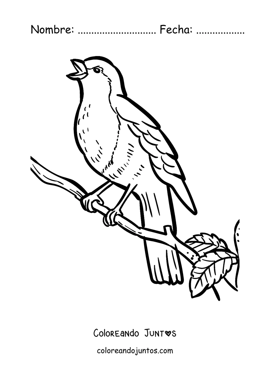 Imagen para colorear de un petirrojo en una rama con una hoja