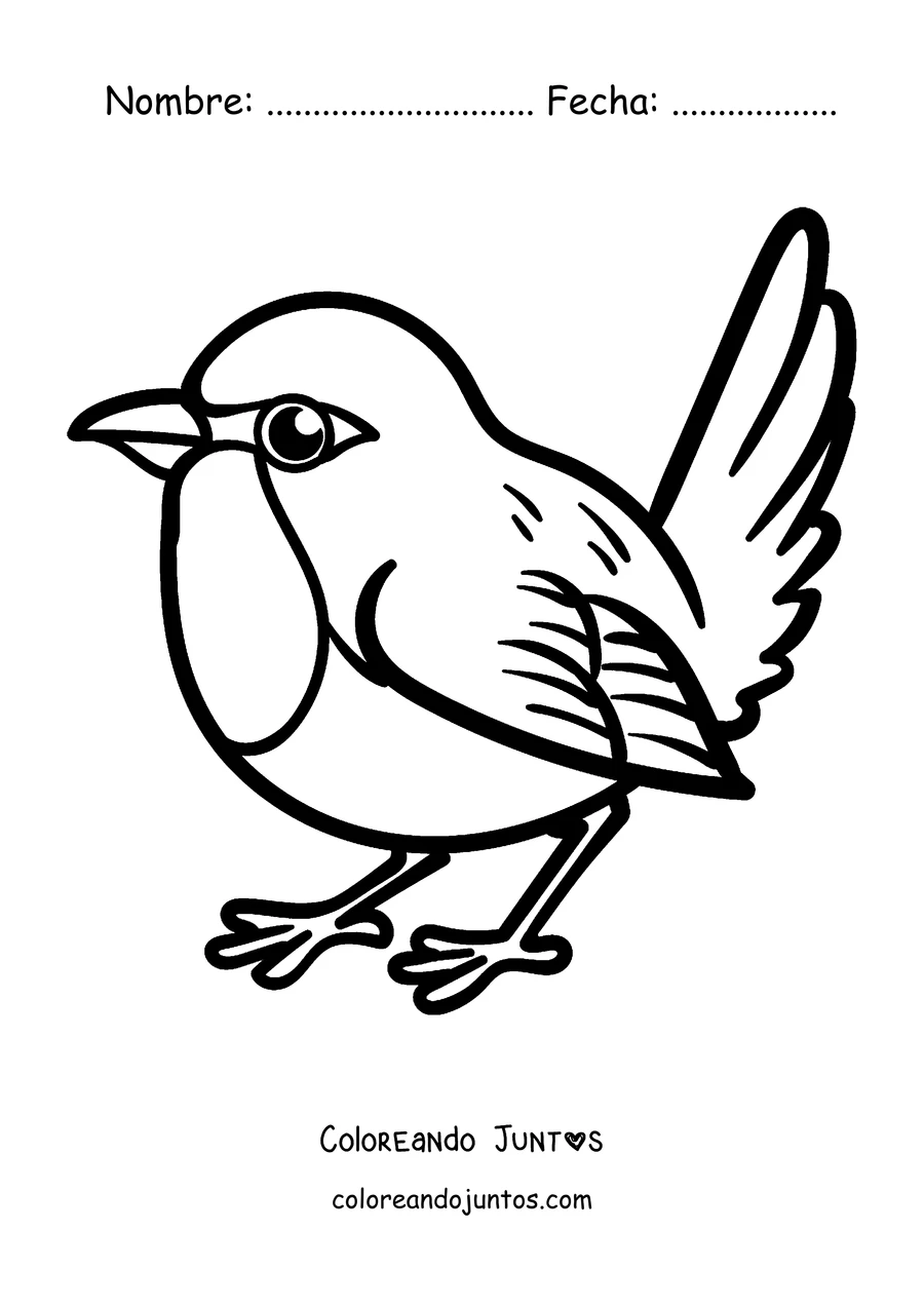 Imagen para colorear de un petirrojo tierno con la colita levantada