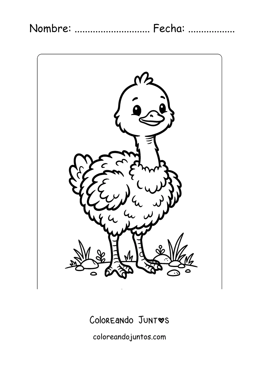 Imagen para colorear de un pichón de avestruz bien esponjoso