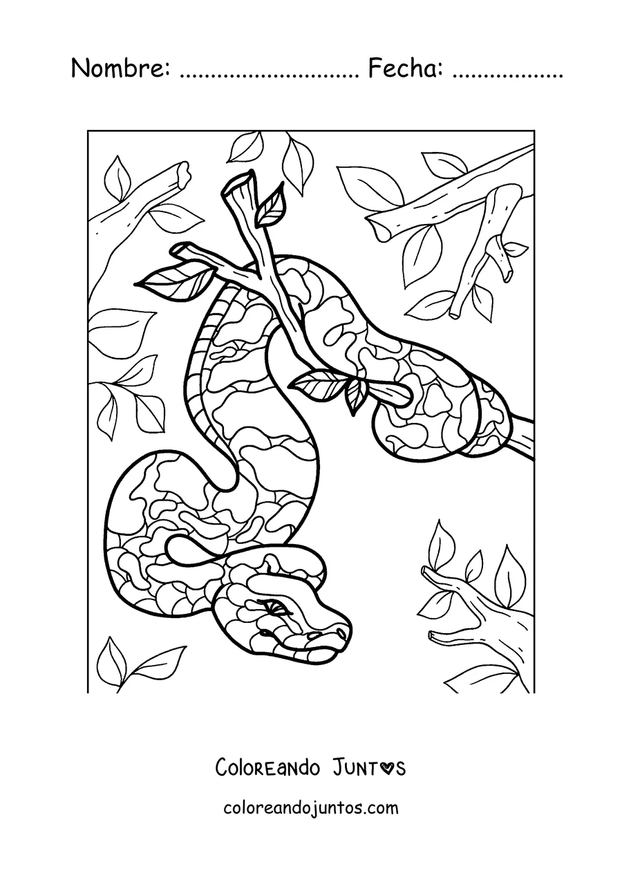 Imagen para colorear de una pitón colgando de un árbol