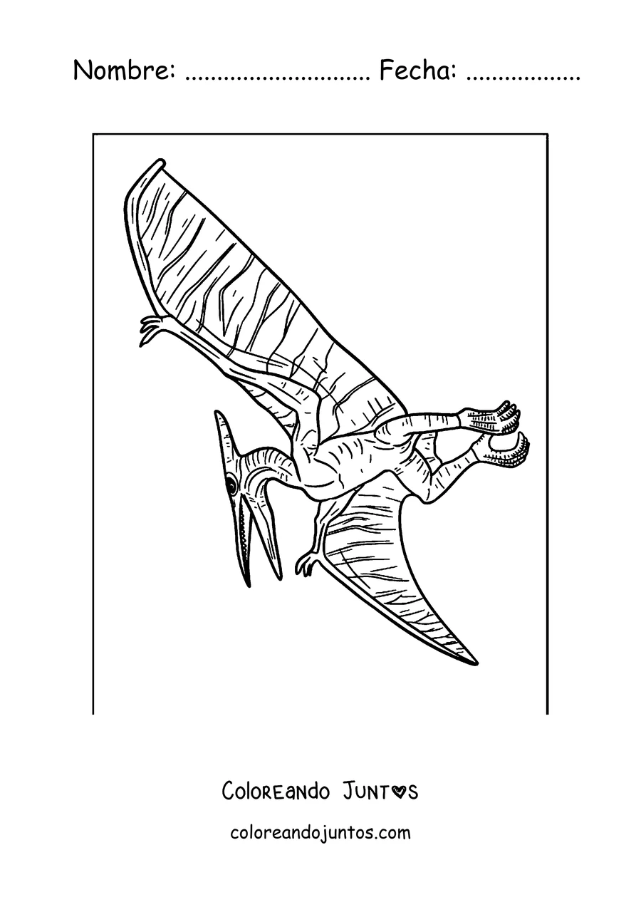 Imagen para colorear de un pterodáctilo posado con las alas de piel detallada