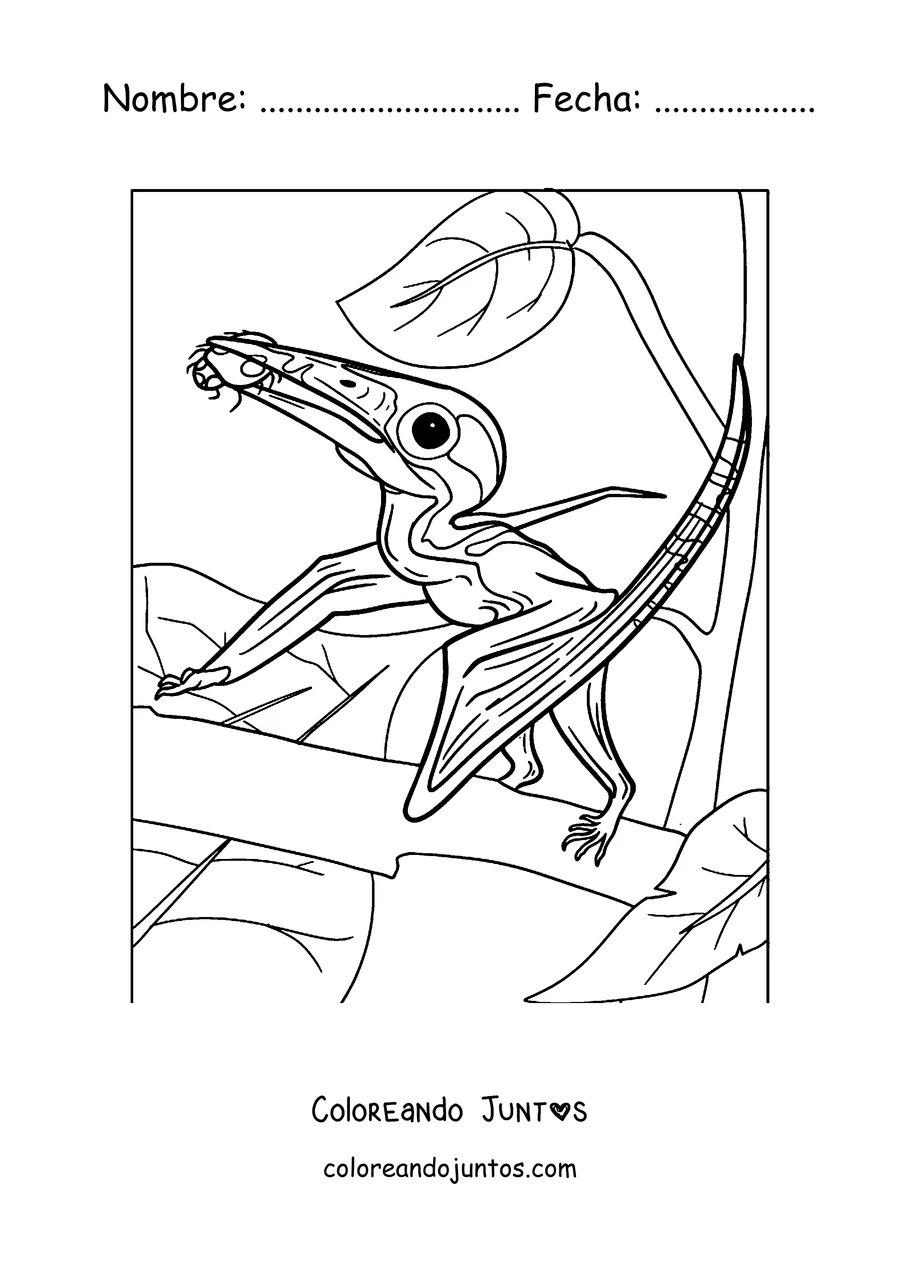 Imagen para colorear de la cabeza de un pterodáctilo con su cresta en primer plano