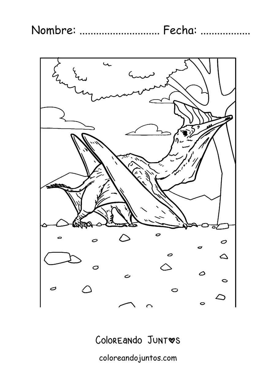 Imagen para colorear de un pterodáctilo descansando junto a un árbol