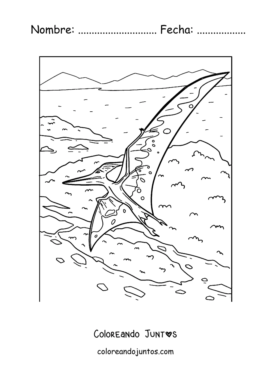 Imagen para colorear de un pterodáctilo planeando sobre una isla