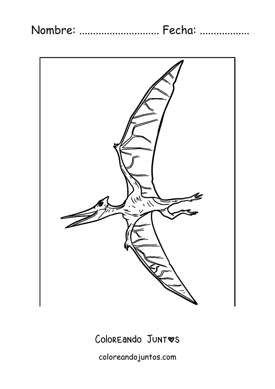 Imagen para colorear de un pterodáctilo sencillo volando en el cielo