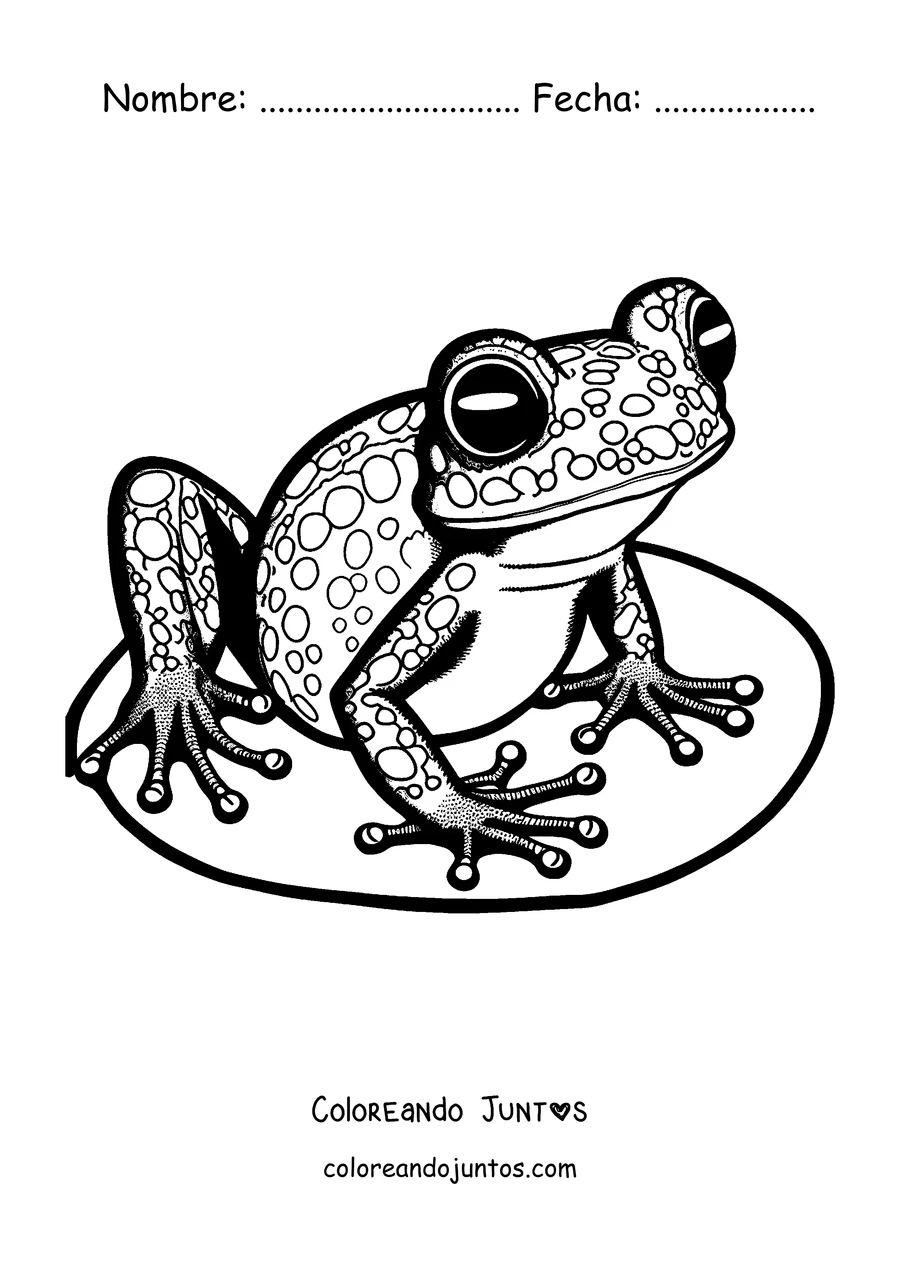 Imagen para colorear de una rana arborícola descansando en una rama