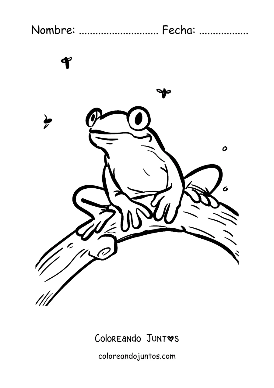 Imagen para colorear de una rana arborícola en una rama rodeada de insectos