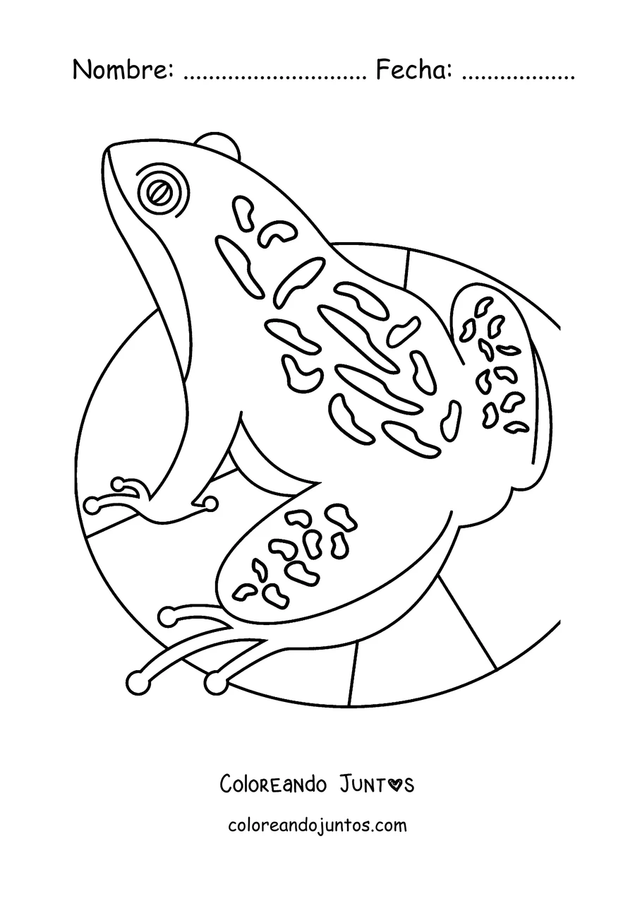 Imagen para colorear de una rana con patrones tipo mandala sobre un nenúfar