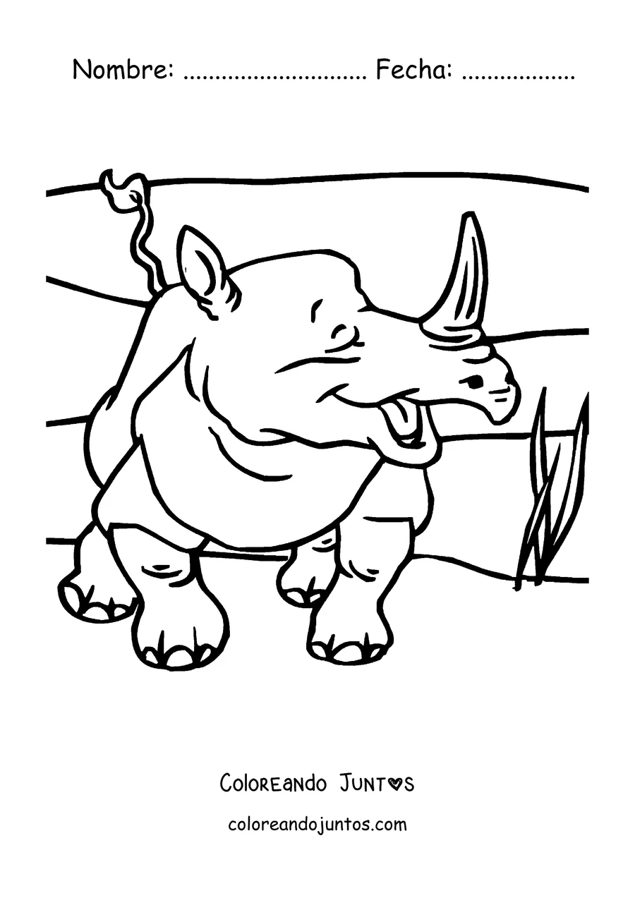 Imagen para colorear de un rinoceronte caminando entre el pasto
