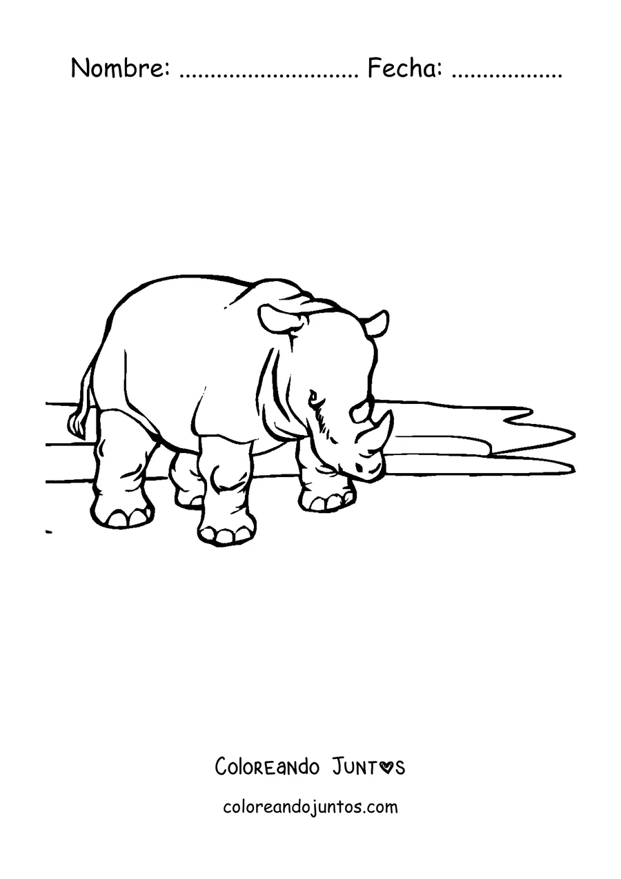 Imagen para colorear de un rinoceronte de perfil