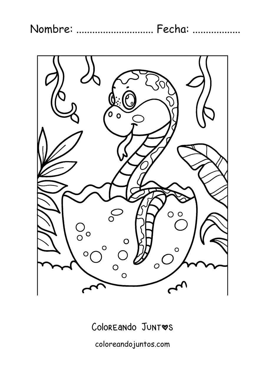 Imagen para colorear de una serpiente bebé saliendo del huevo