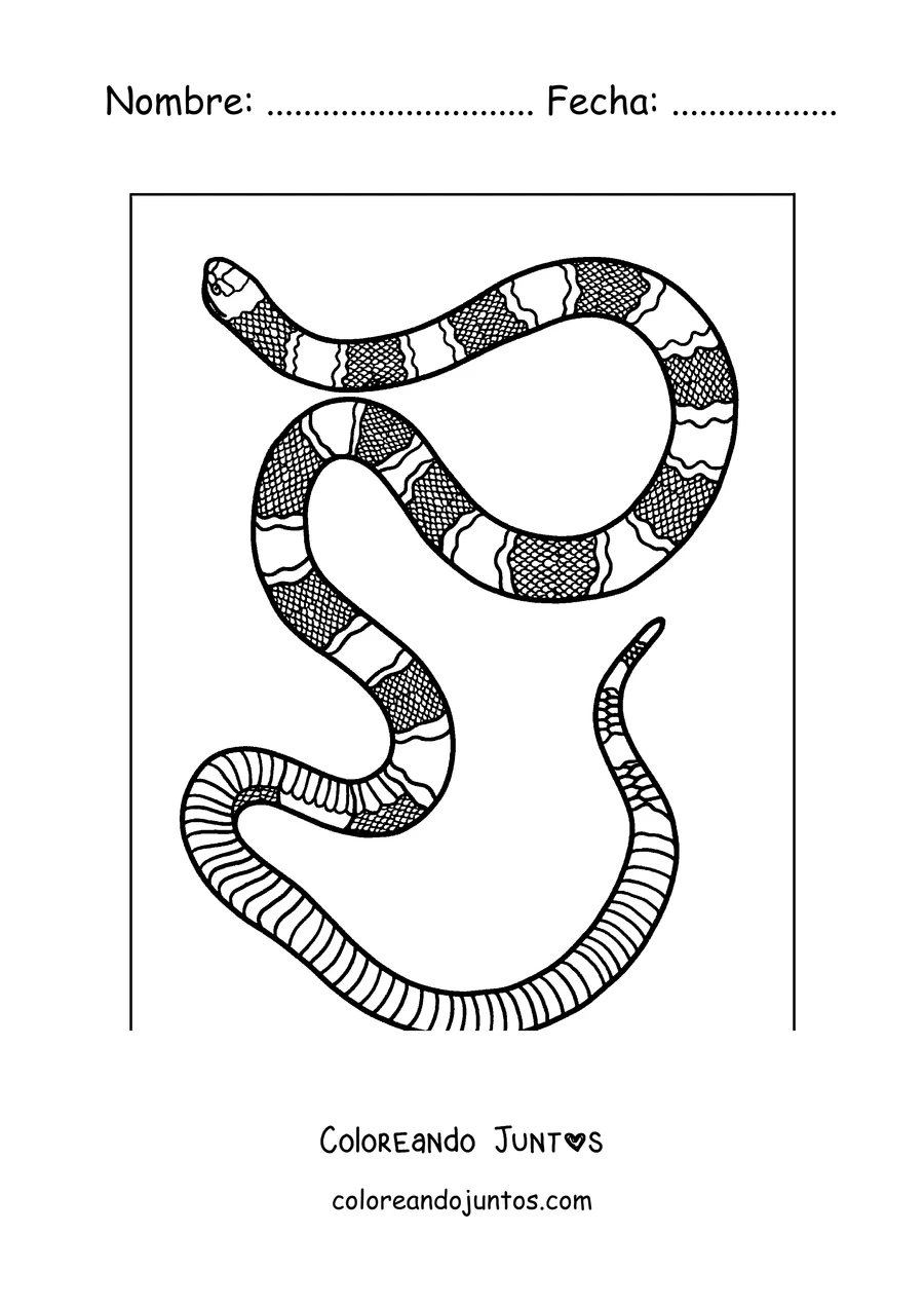 Imagen para colorear de una serpiente coral con anillos