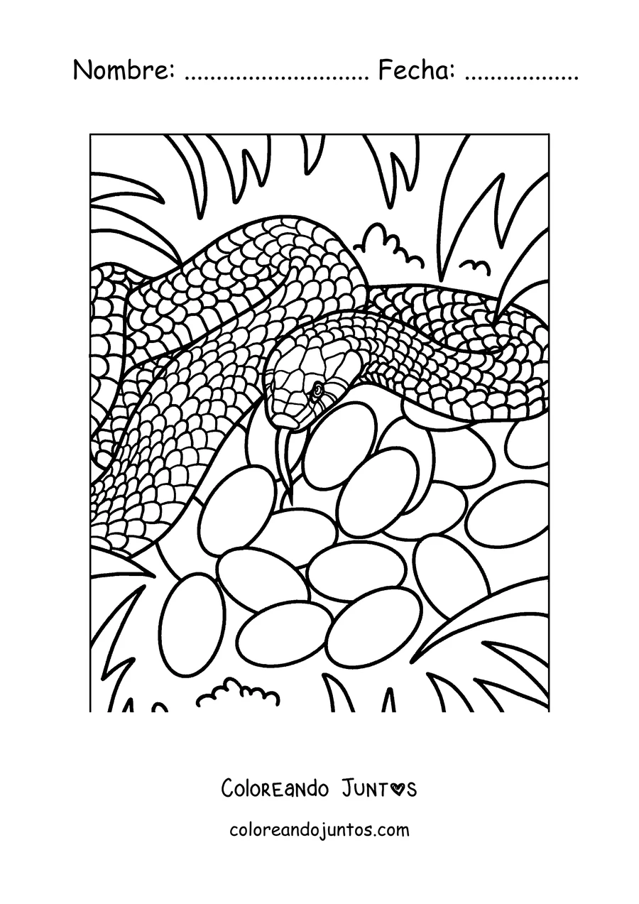 Imagen para colorear de una serpiente cuidando sus huevos
