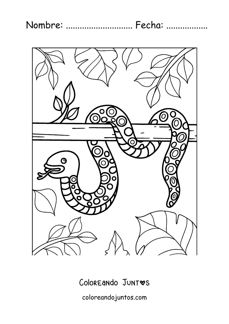 Imagen para colorear de una serpiente enroscada en una rama