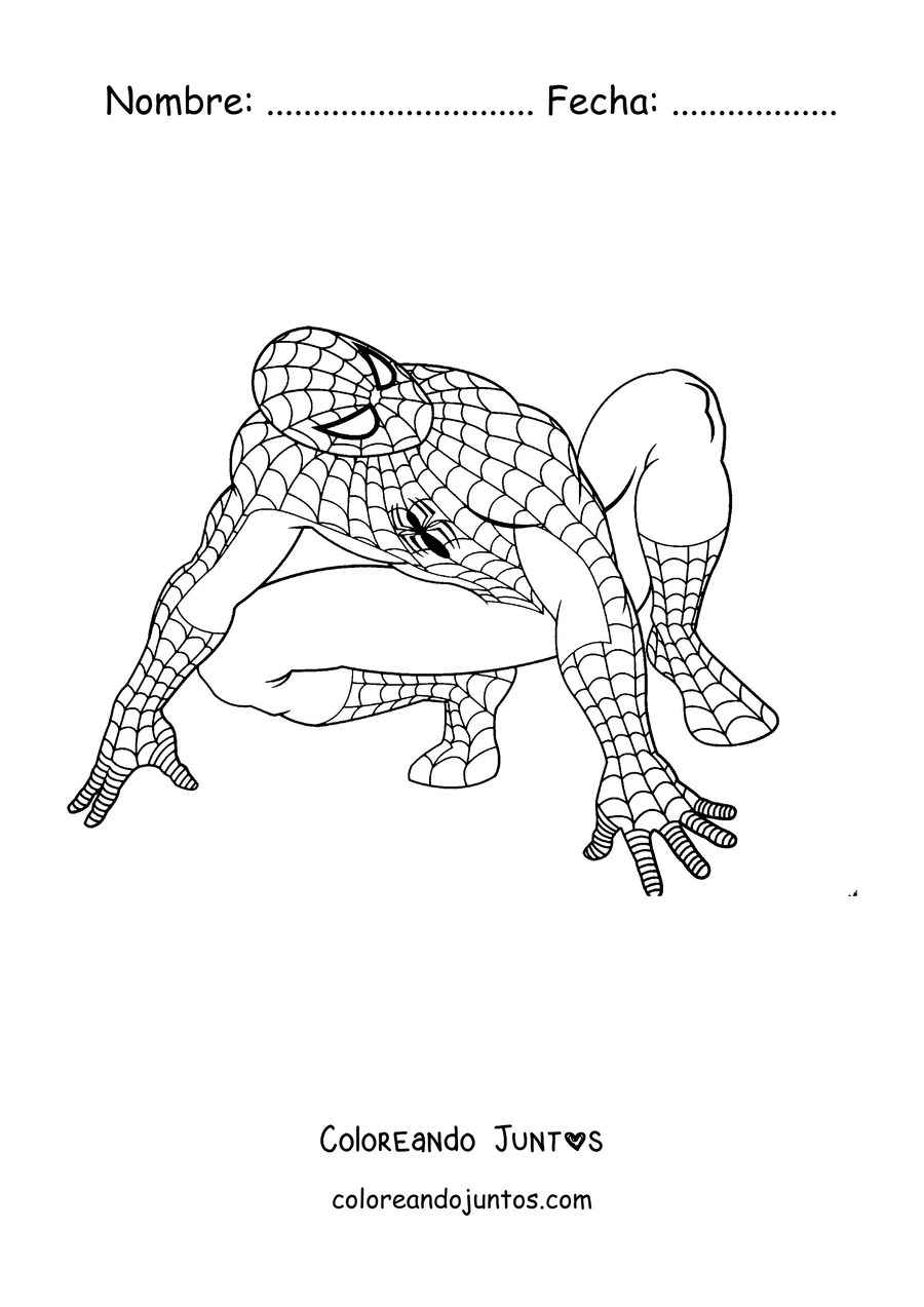 Imagen para colorear de Spider-Man agachado en cuatro patas listo para saltar