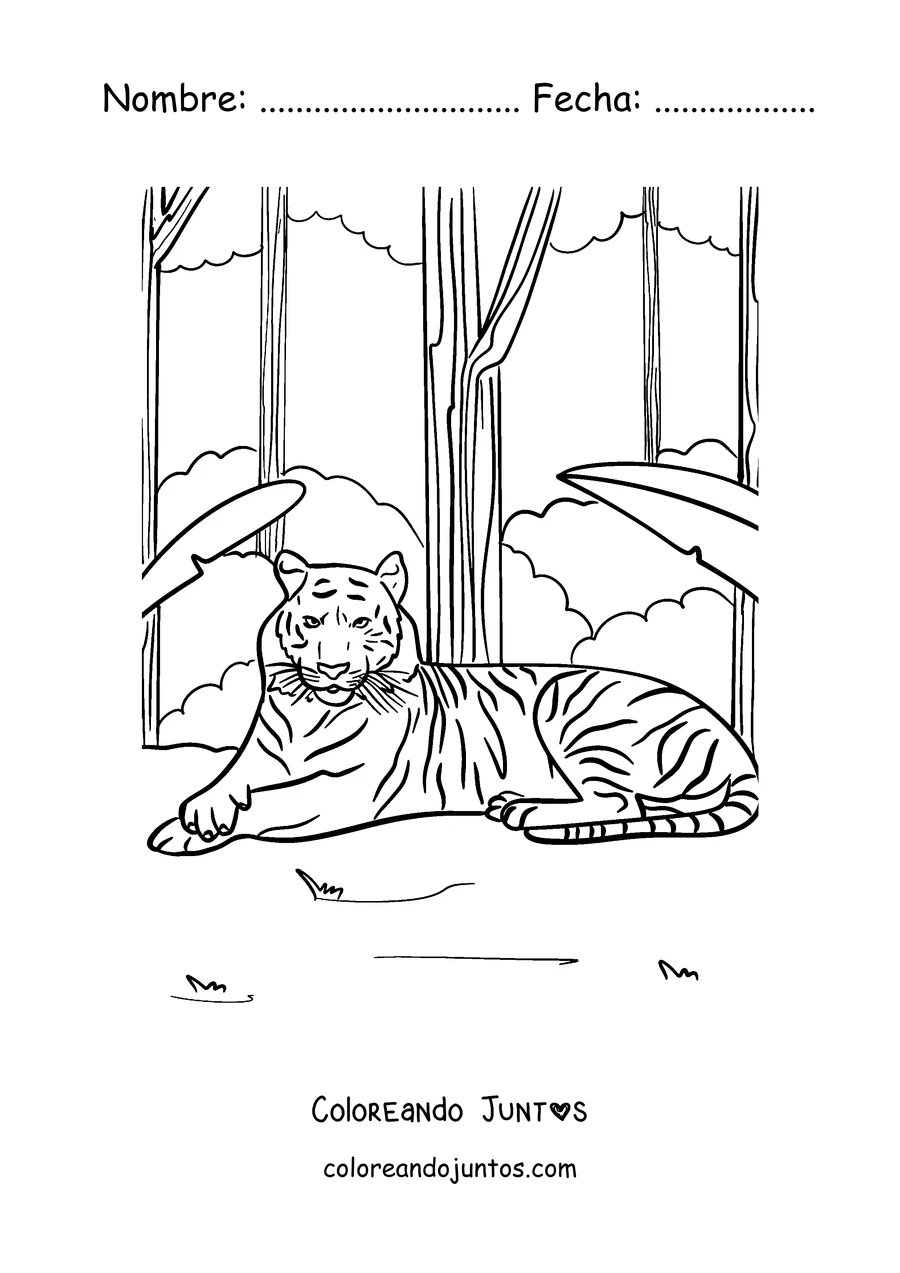 Imagen para colorear de un tigre descansando en la selva