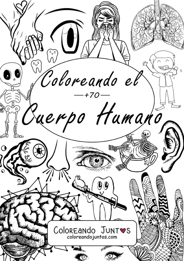 Cuerpo Humano - Descargar PDF