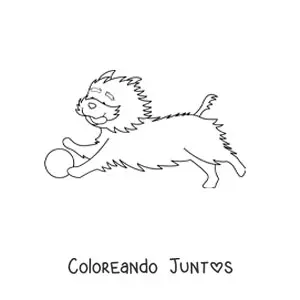 Imagen para colorear de un yorkshire terrier corriendo tras una pelota