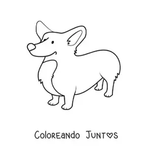 Imagen para colorear de un corgi