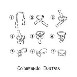 Imagen para colorear de pasos para hacer el nudo de un corbatín