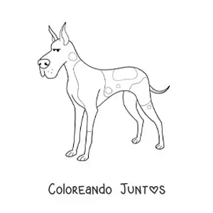 Imagen para colorear de un gran danés