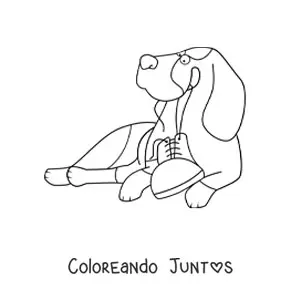 Imagen para colorear de un basset hound acostado jugando con un zapato