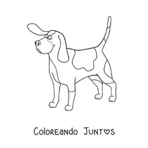 Imagen para colorear de un basset hound
