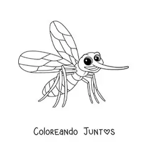 Imagen para colorear de un aedes aegypti animado