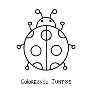 Imagen para colorear de una catarina grande