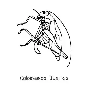 Imagen para colorear de un chapulín realista