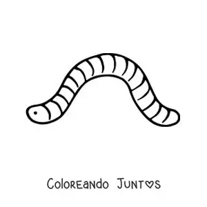 Imagen para colorear de lombriz fácil